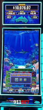 Daily Bonuses 911bet